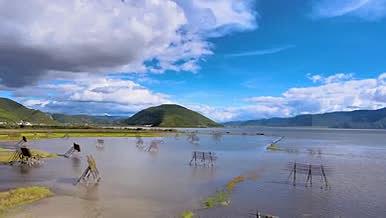 4K航拍香格里拉纳帕海依草原湖泊风景视频的预览图